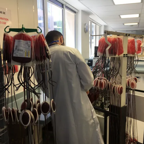 DKL dans les coulisses de l'EFS : découvrez le parcours des poches...